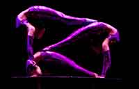 Golden Dragon Acrobats in