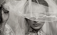 The Spectre Bridegroom and Other Valentine's Ghost Stories by Peter Royston